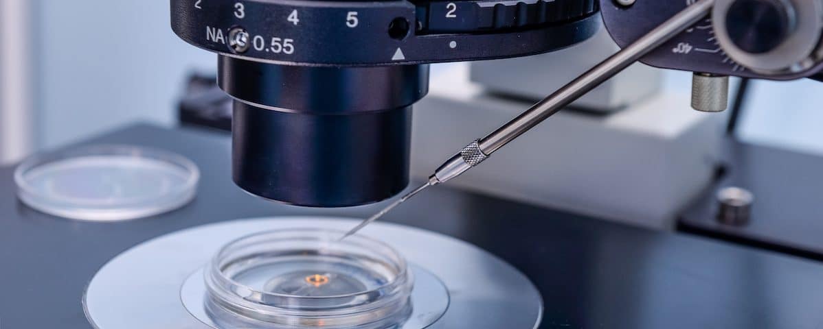 Do IVF Rates Increase Using PGT-a?, Fresh Versus Frozen Embryo Transfers