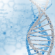 PGT-A and IVF, Preimplantation Genetic Testing for Aneuploidy