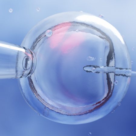 ICSI embryo Go Stork Interview