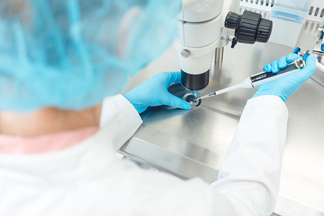 Embryologist using a microscope